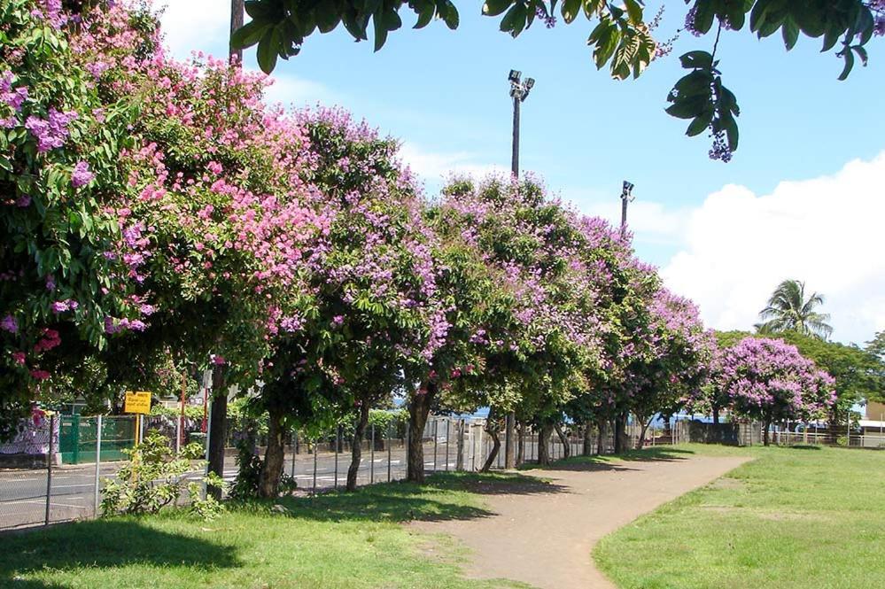 Fare Natihere Papeete  Exterior photo